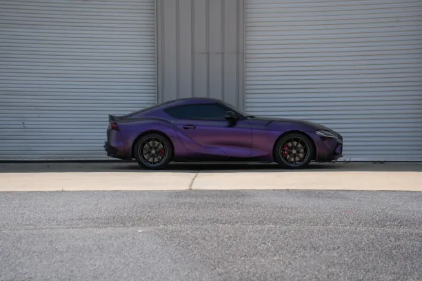 Kasino Showreel Bingo Android/iOS Sovellus